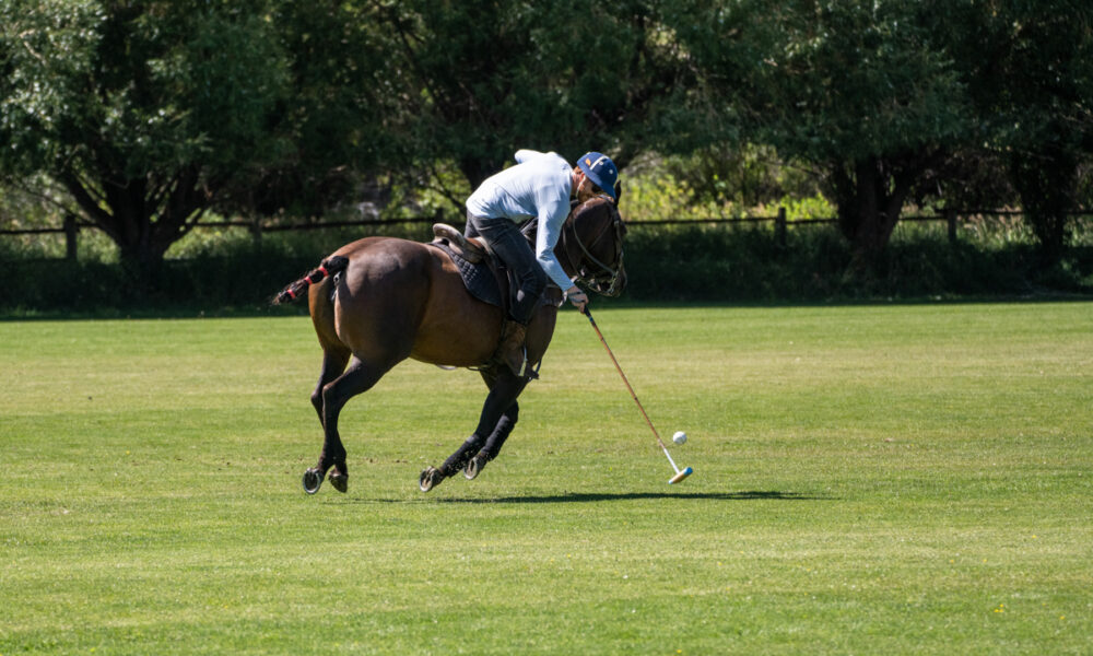 Mountain Weekly News founder Mike Hardaker learning the fundamentals of polo beneath the Tetons at Jackson Hole Polo Club. What started with horseback riding eventually evolved into years of stick-and-ball practice before ever stepping onto the field with a mallet. | Photos: Sam Rubin / Mountain Weekly News