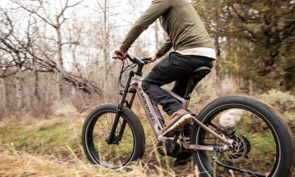 Testing the mud traction and rear suspension performance of the Mokwheel Onyx fat tire e-bike on a cold, wet day in the mountain dirt