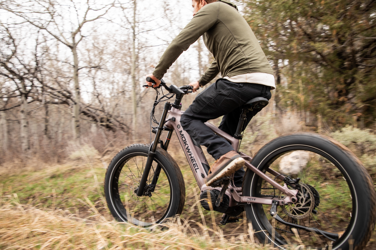 Testing the mud traction and rear suspension performance of the Mokwheel Onyx fat tire e-bike on a cold, wet day in the mountain dirt