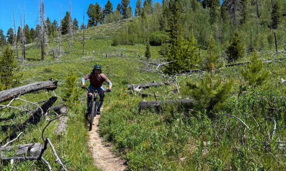 Pat Kinney testing the POC Cularis MTB helmet on Jackson Hole mountain bike singletrack during TETON Tested review